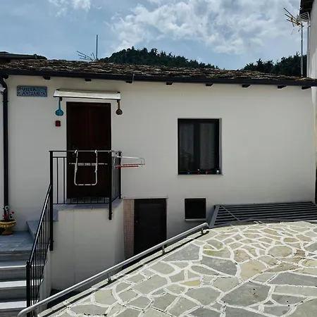 Antoaneta Apartament *