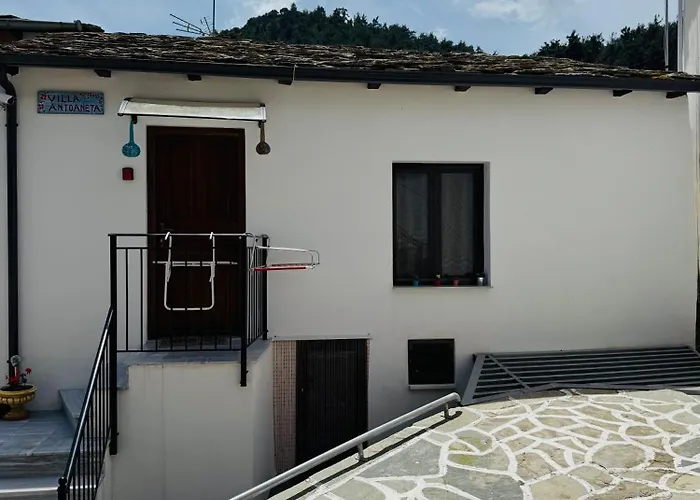 Antoaneta Apartman *